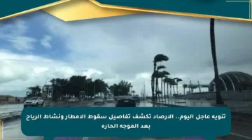 تنويه عاجل اليوم.. الأرصاد تكشف تفاصيل سقوط الأمطار ونشاط الرياح بعد الموجة الحارة